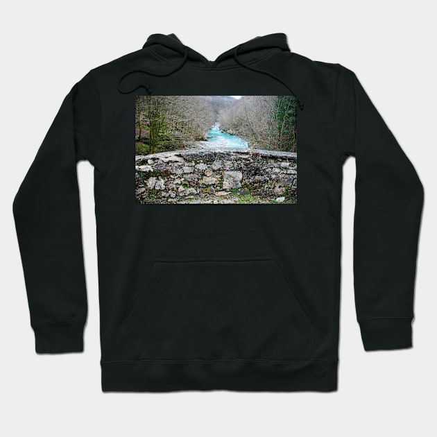 Napoleon Bridge in Slovenia Hoodie by jojobob